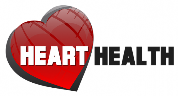 A kardioedzés legfontosabb előnye, hogy karbantartja a szív- és érrendszert, ezáltal támogatja a keringést. Emellett azért is nagyon népszerű edzésforma, mert támogatja a fogyás beindítását és az állóképesség fejlesztését.